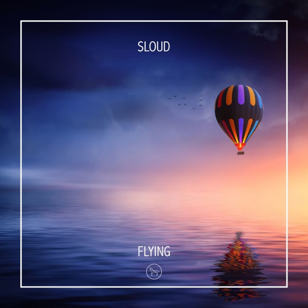 Picture of Flying