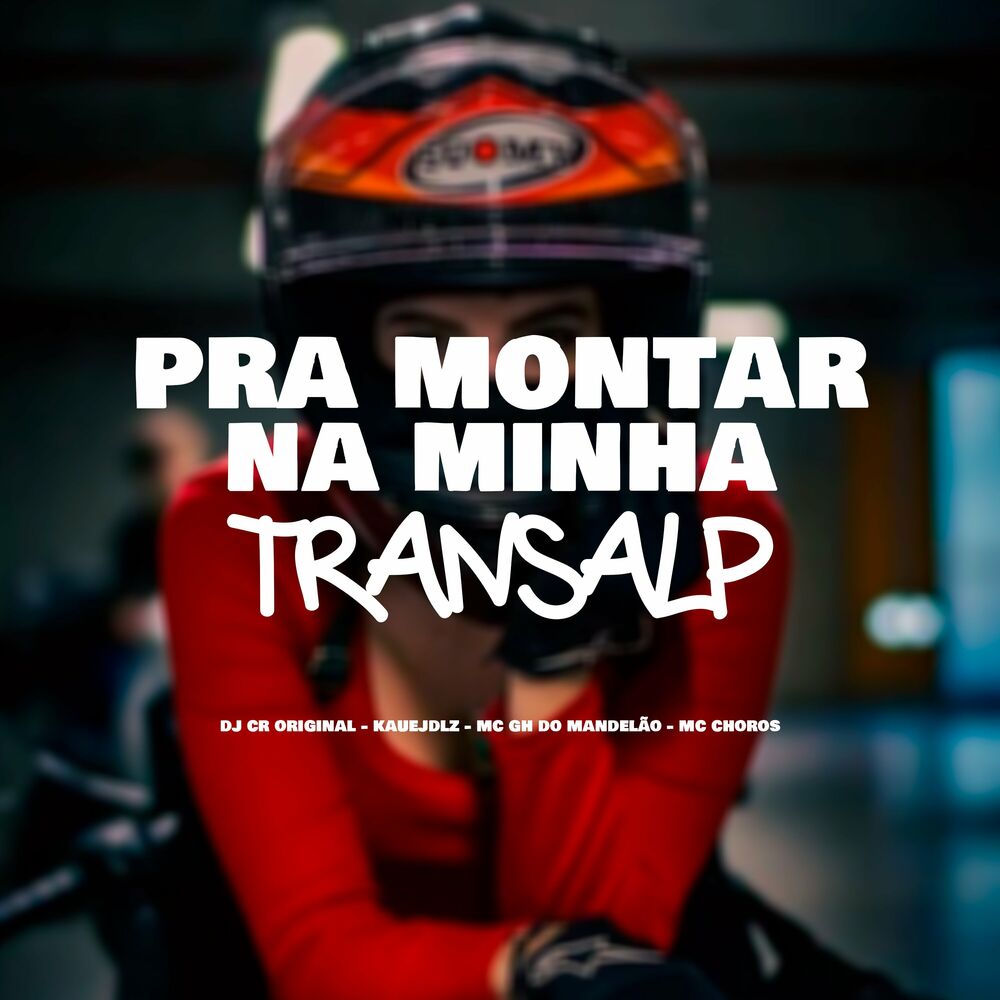Picture of Pra Montar na Minha Transalp
