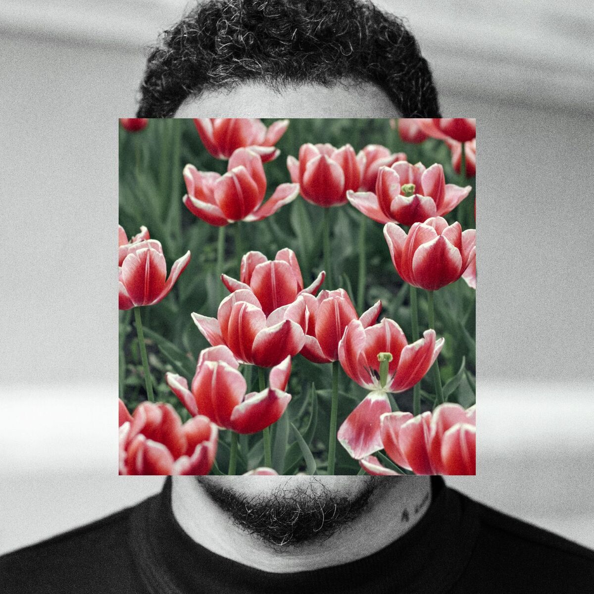 Album cover of AMAR é para os FORTES
