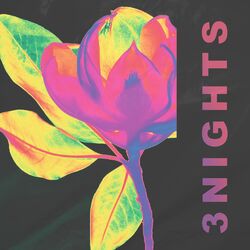 Cover of 3 Nights