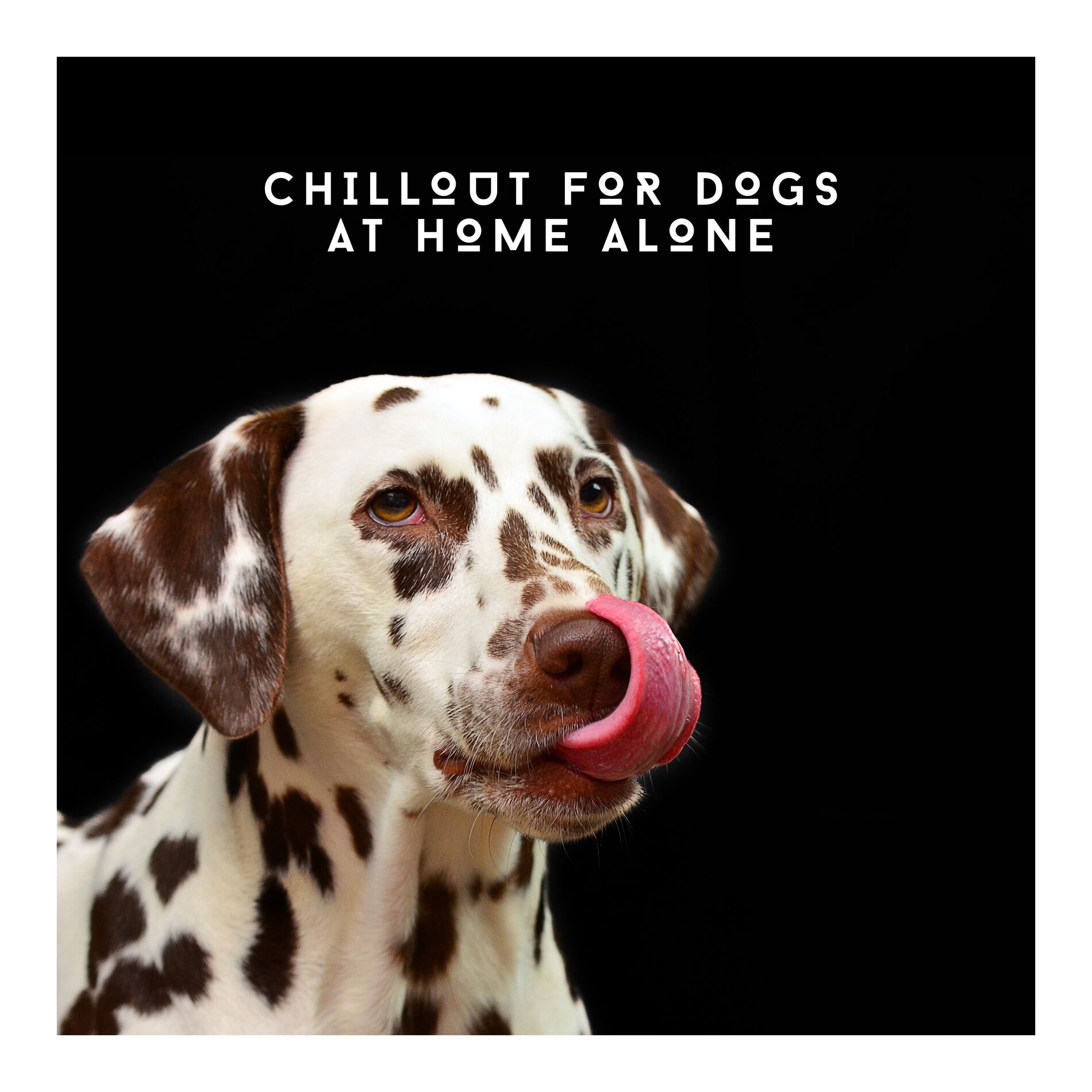 Album cover of Chillout For Dogs At Home Alone