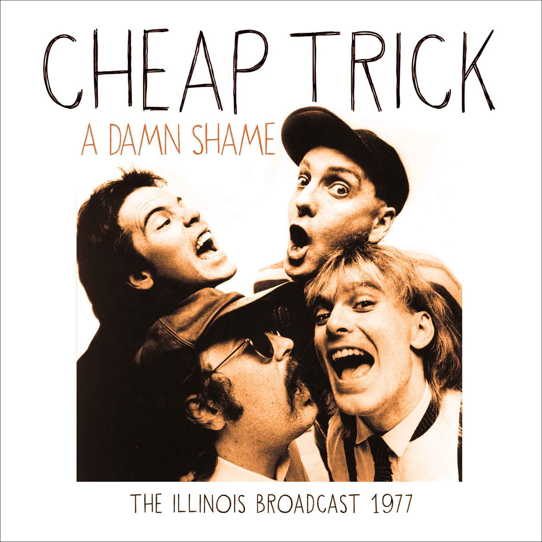 Album cover of A Damn Shame