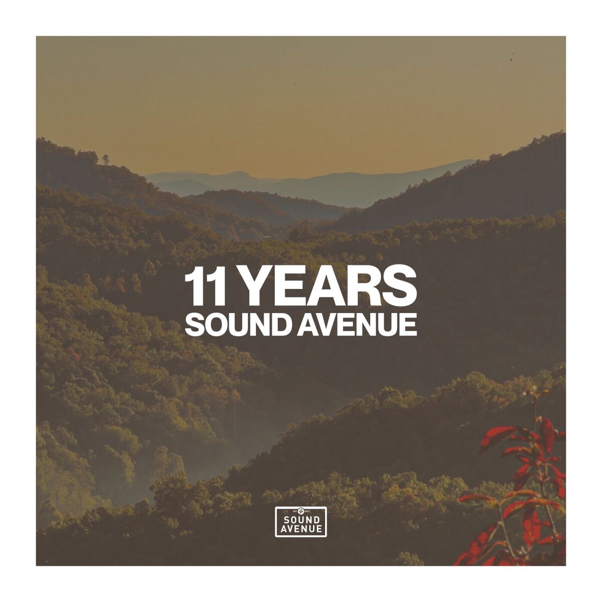 Album cover of 11 Years Sound Avenue