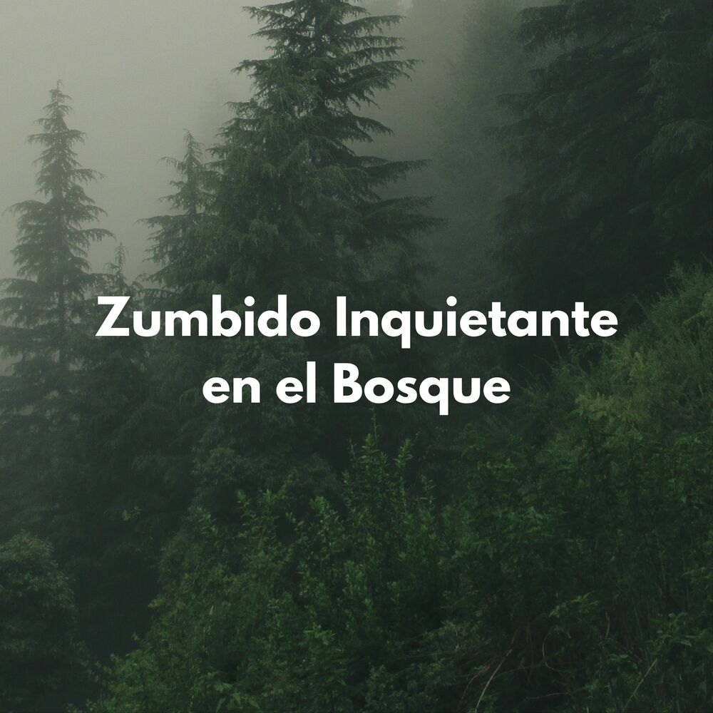 Picture of Zumbido Inquietante En El Bosque
