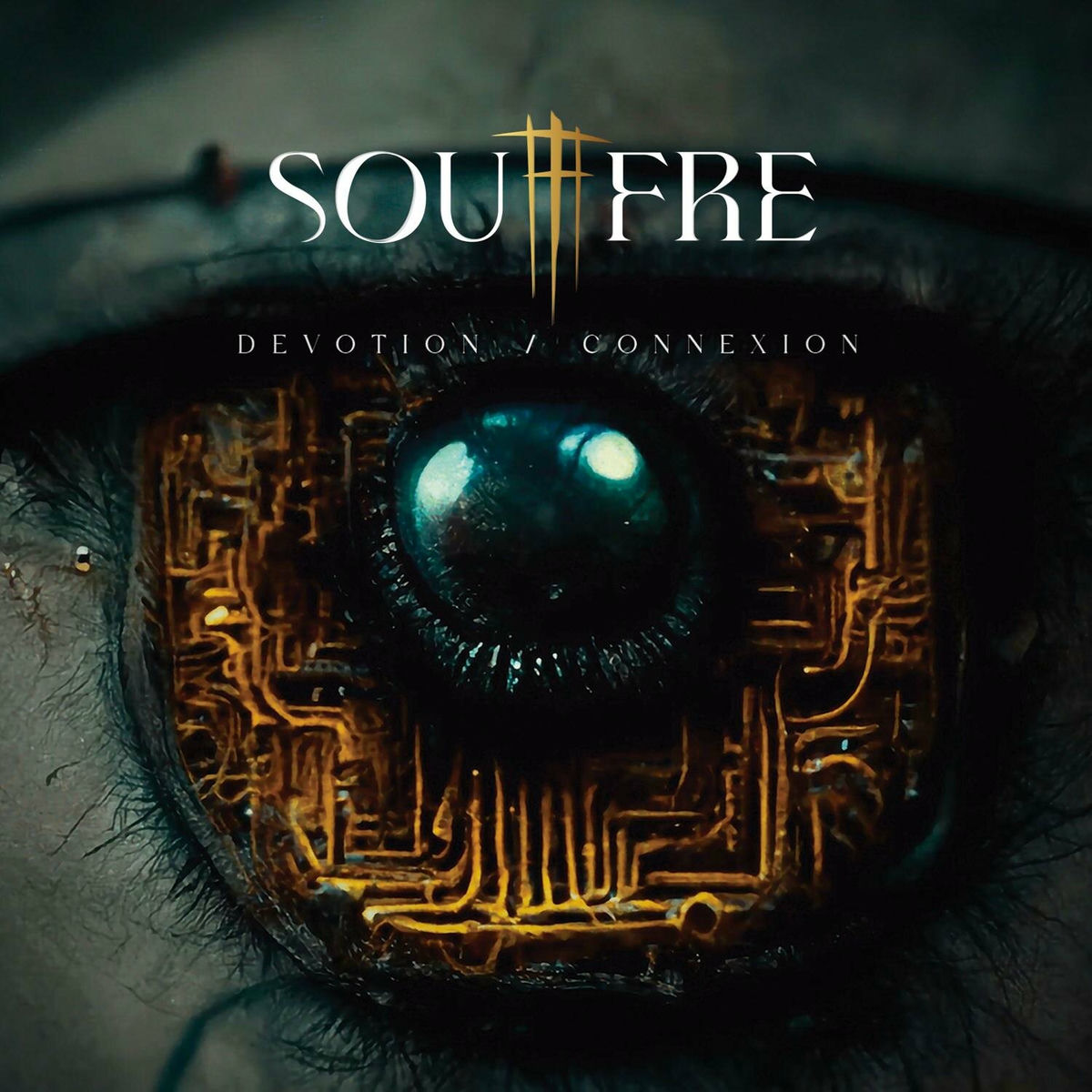 Album cover of Dévotion / Connexion