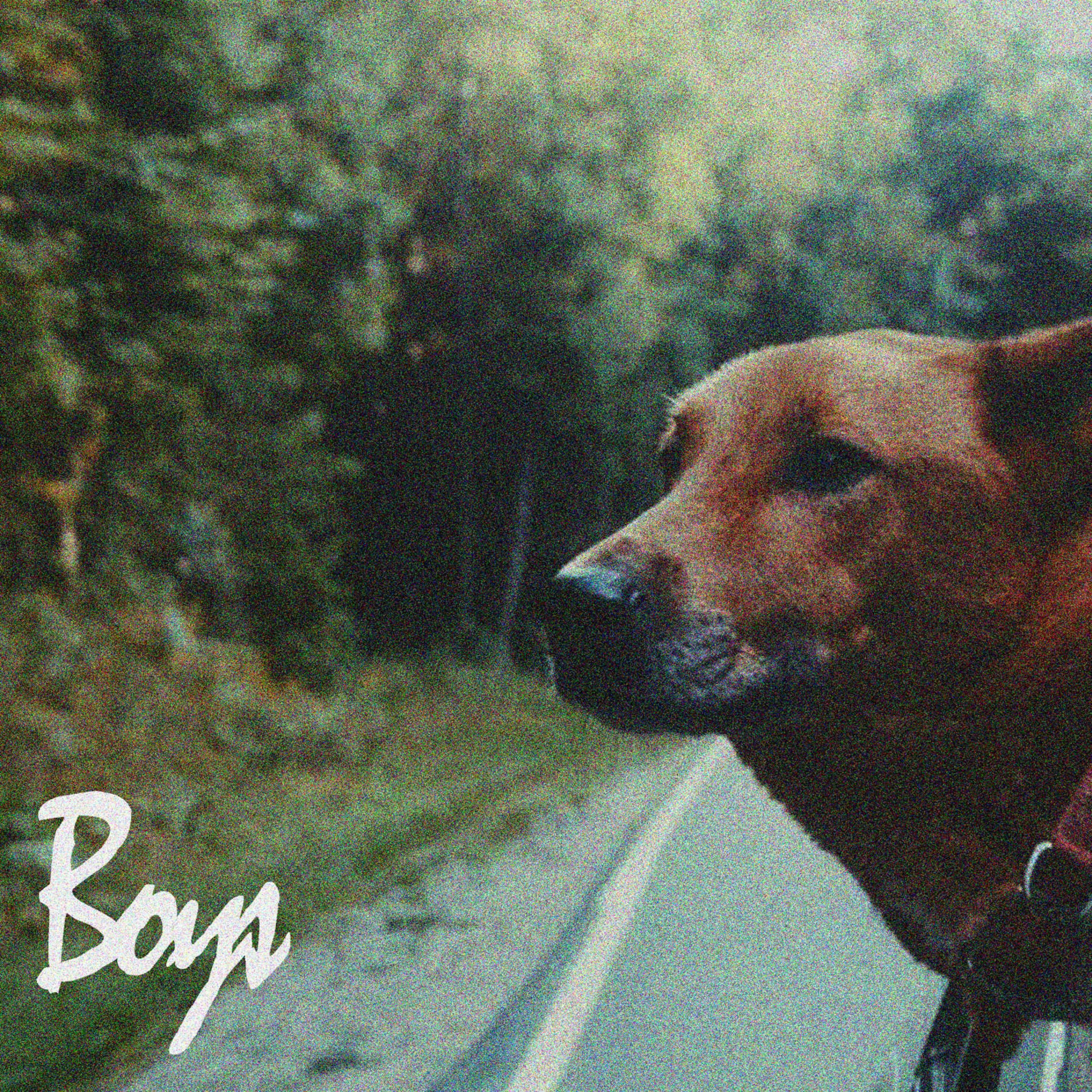 Album cover of Boys