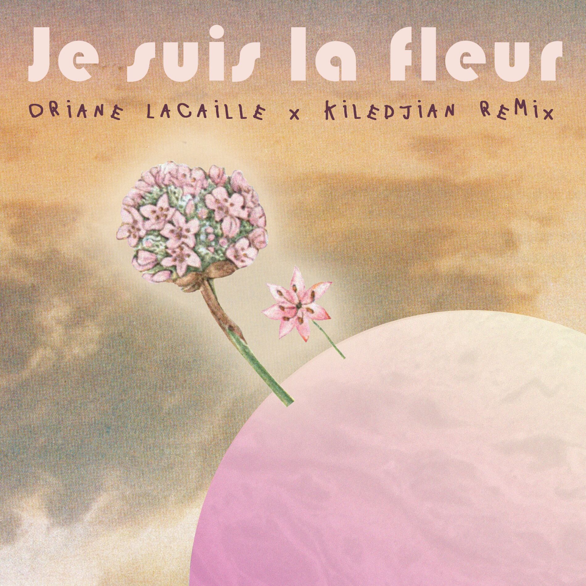 Album cover of Je Suis La Fleur (Kiledjian Remixes)