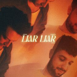 Cover of Liar Liar