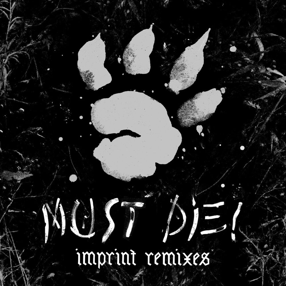 Picture of Imprint (Remixes)
