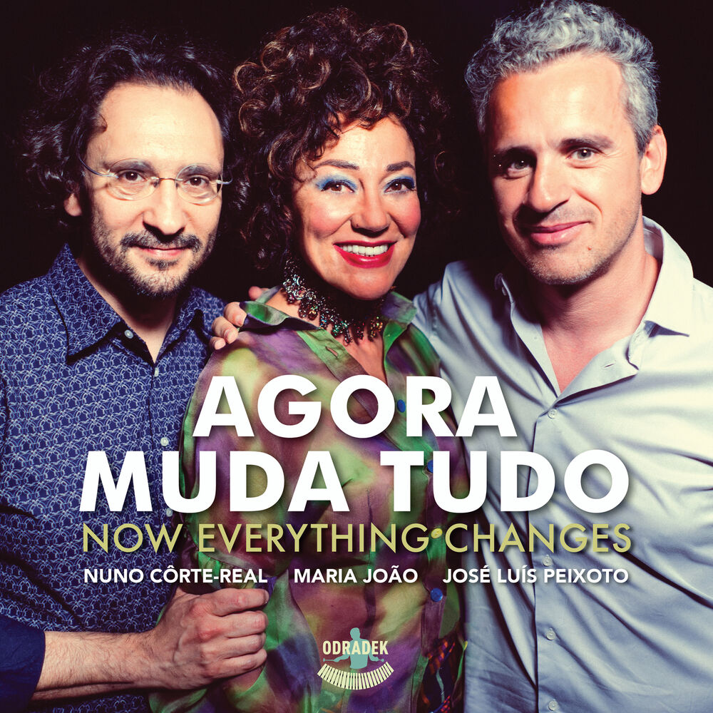 Picture of Agora Muda Tudo