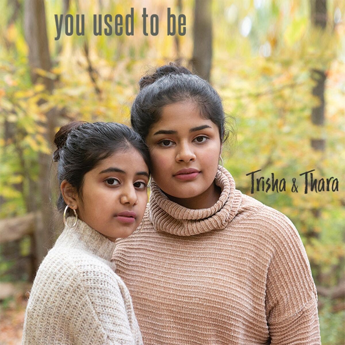 Album cover of You Used to Be