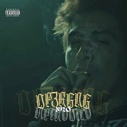Cover of Dp3rgng