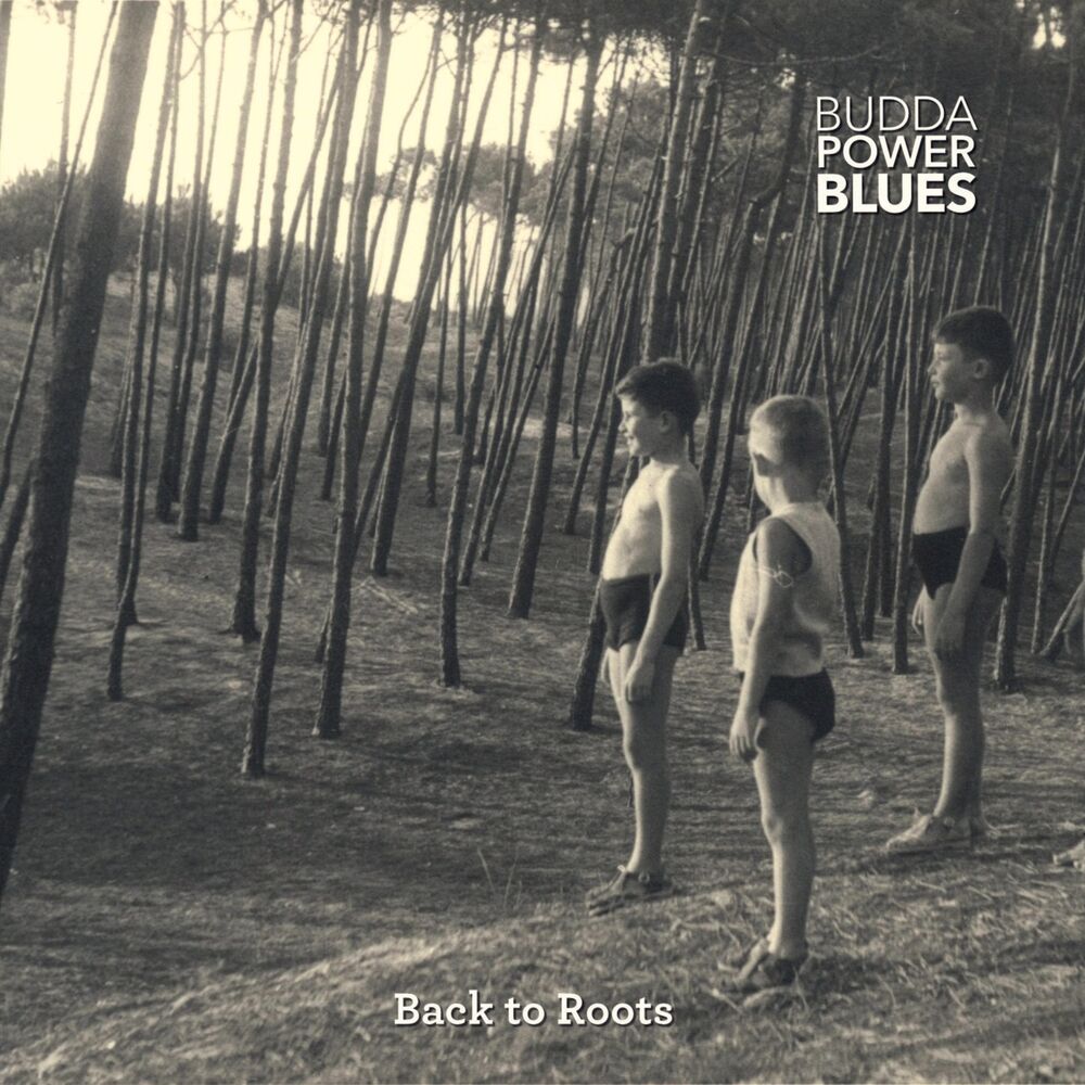 Picture of Back to Roots