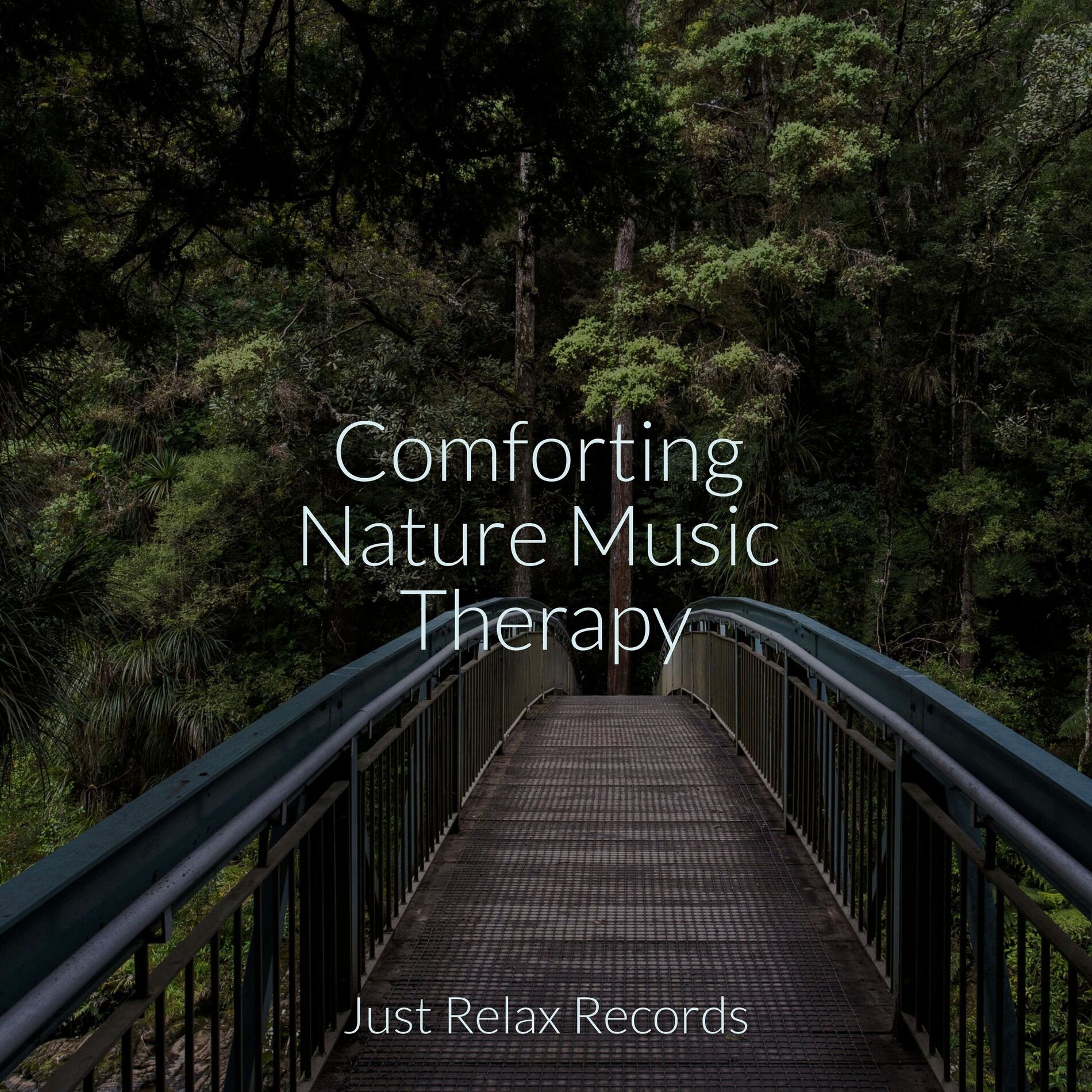 Album cover of Comforting Nature Music Therapy
