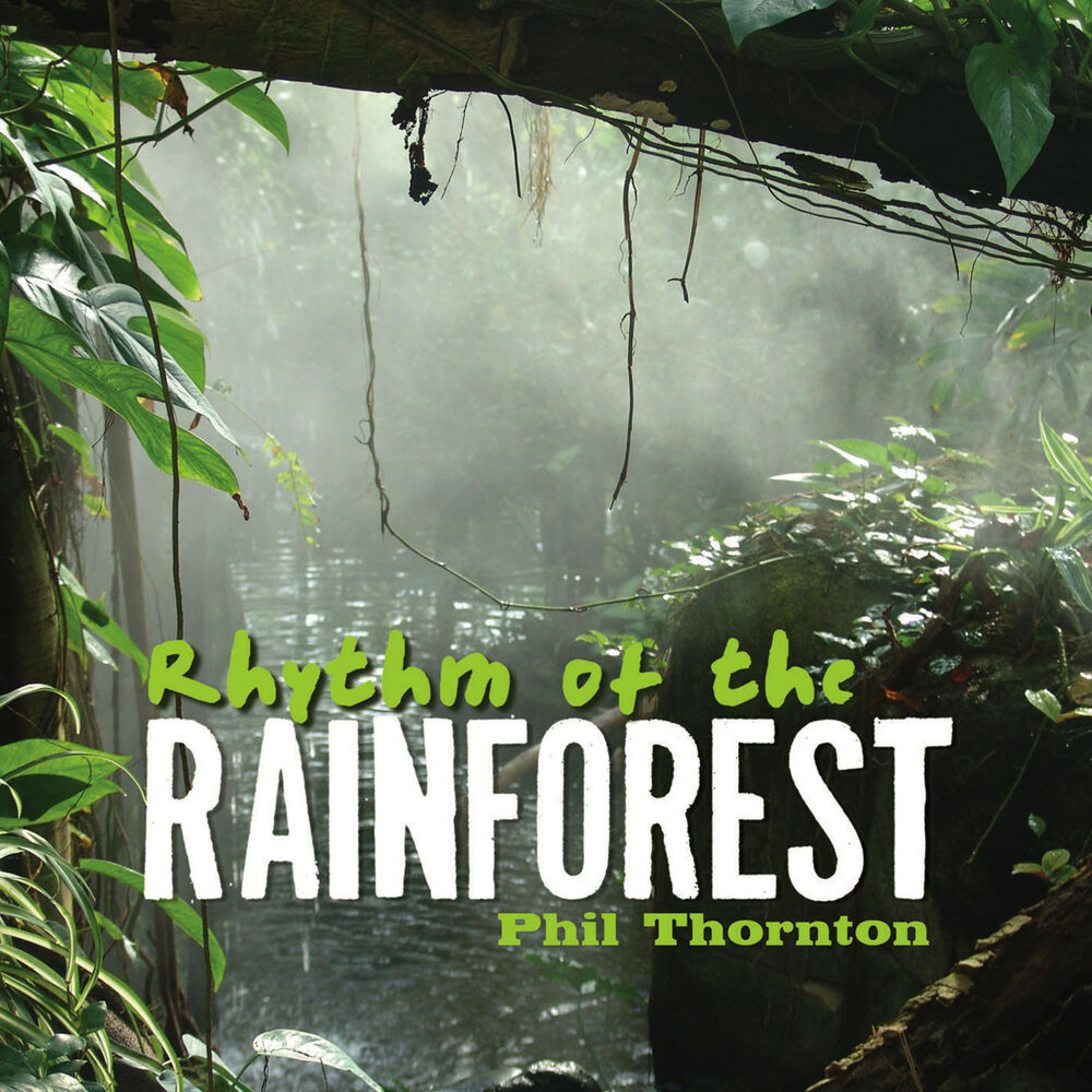 Picture of Rhythm of the Rainforest