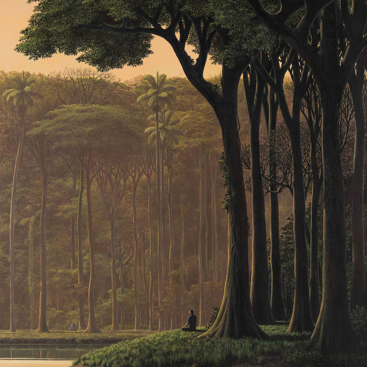 Album cover of Białowieża