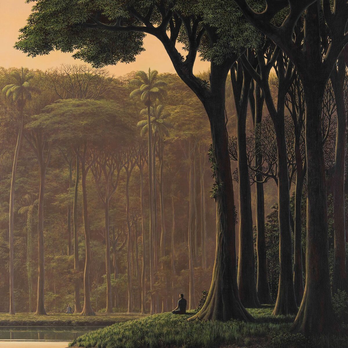 Album cover of Natura Sonora