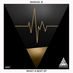 Cover of What a Beat