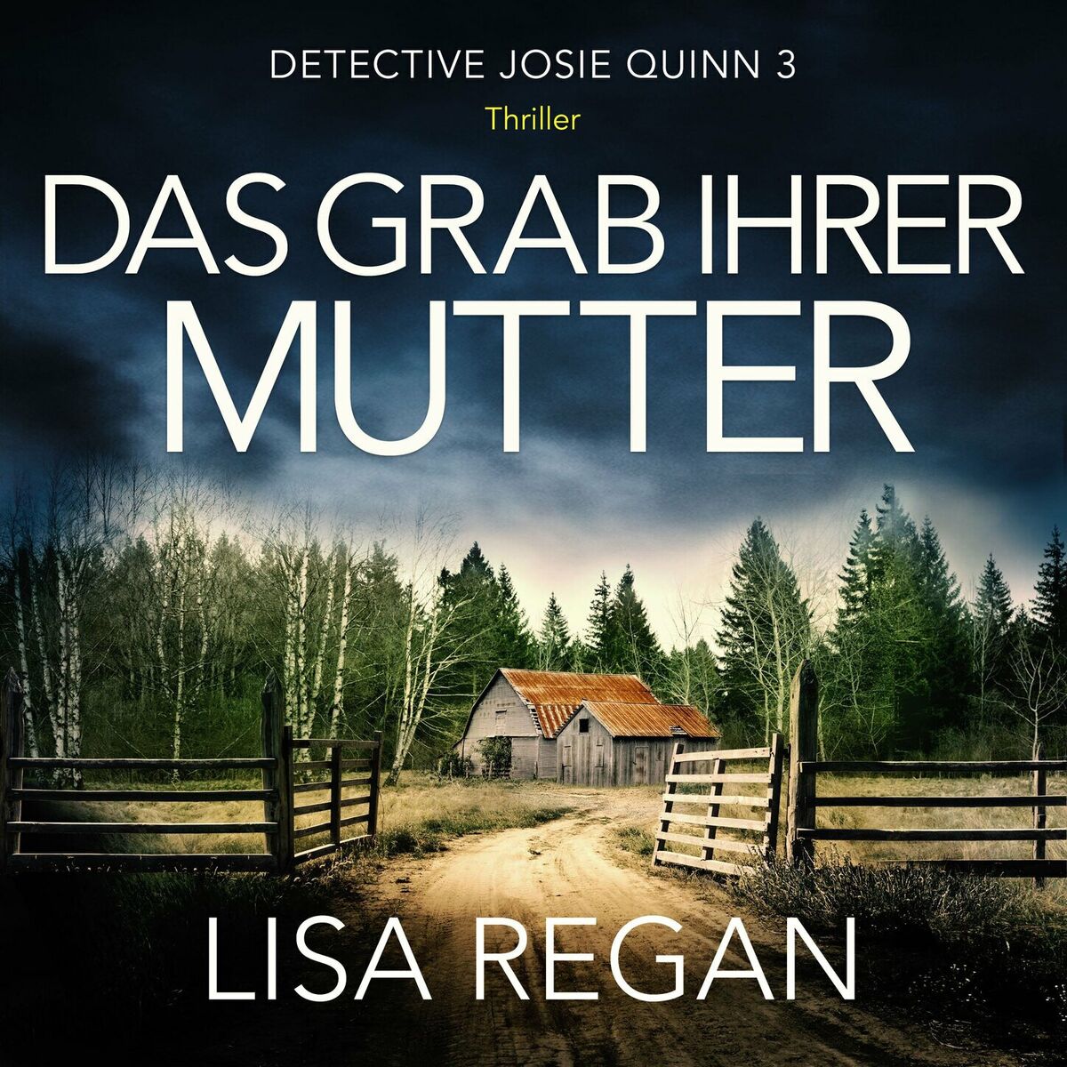Album cover of Das Grab ihrer Mutter - Detective Josie Quinn, Teil 3 (Ungekürzt)