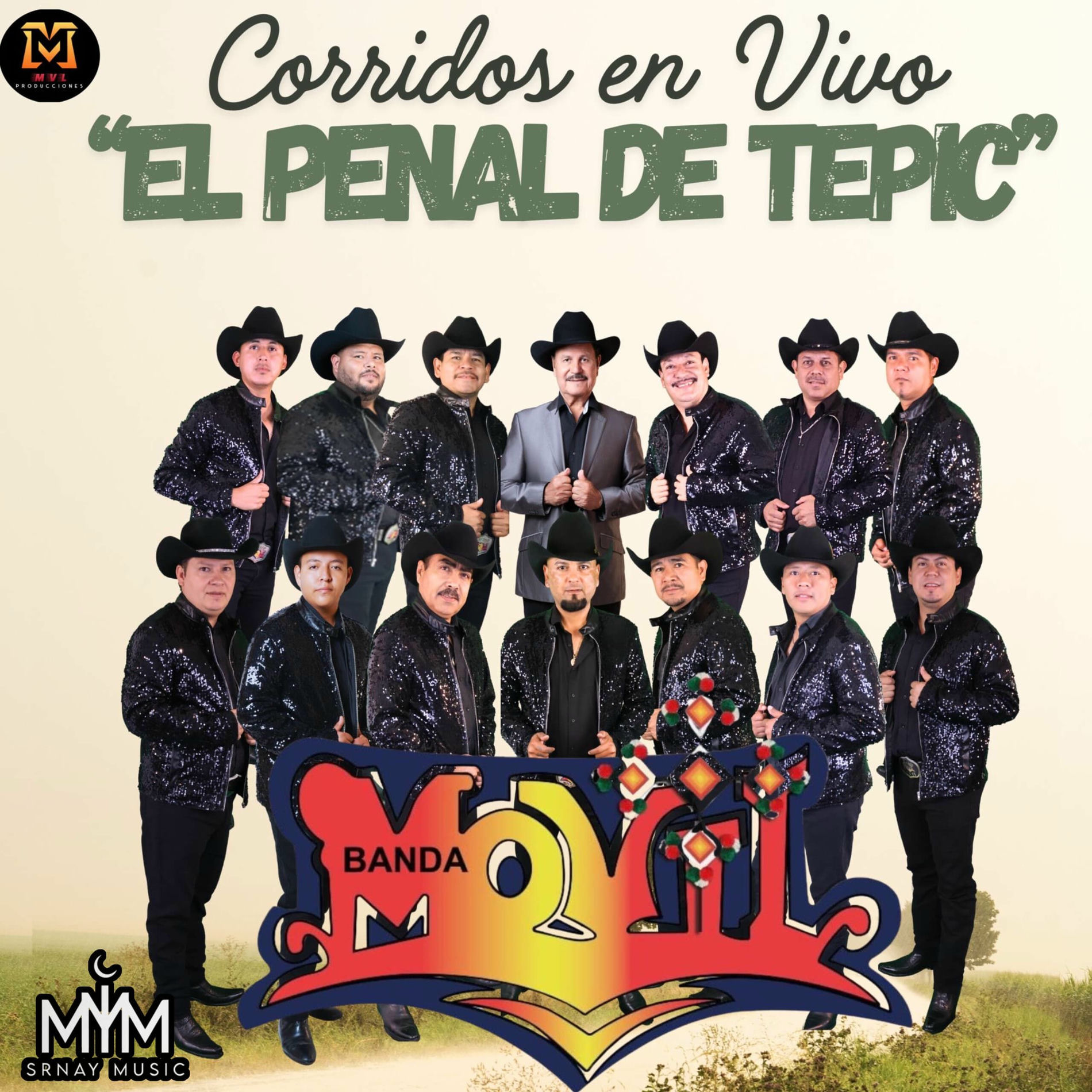 Album cover of El Penal De Tepic (Corridos En Vivo)