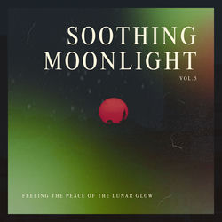 Cover of Soothing Moonlight - Feeling the Peace of the Lunar Glow Vol.5 by undefined