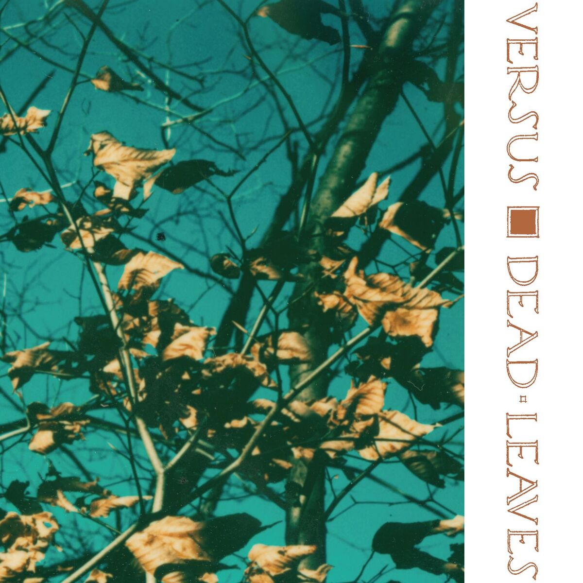 Album cover of Dead Leaves