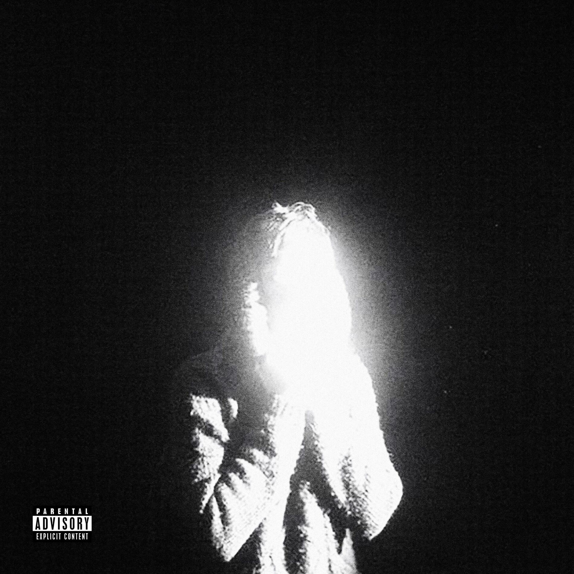 Album cover of PIVOT