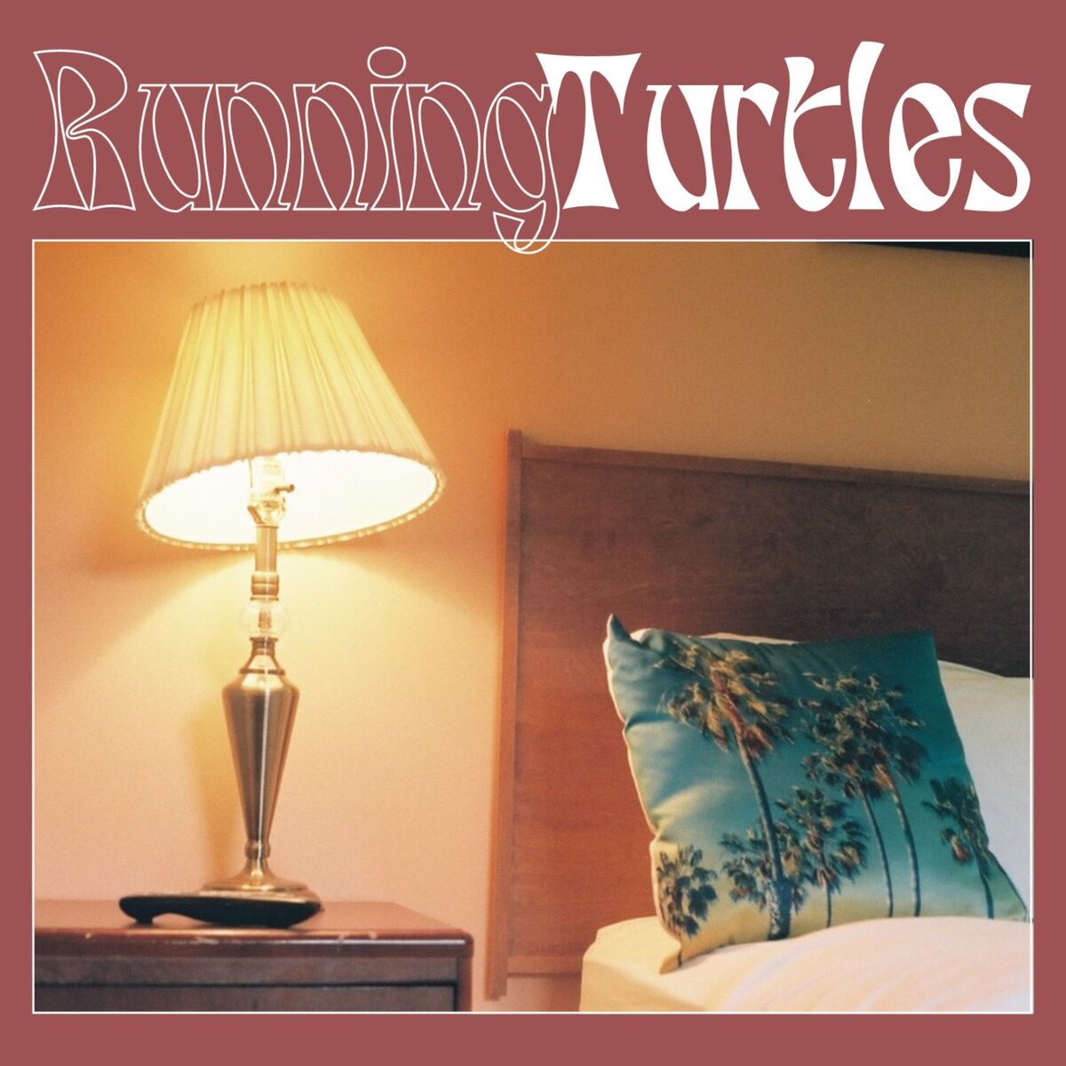 Album cover of Running Turtles