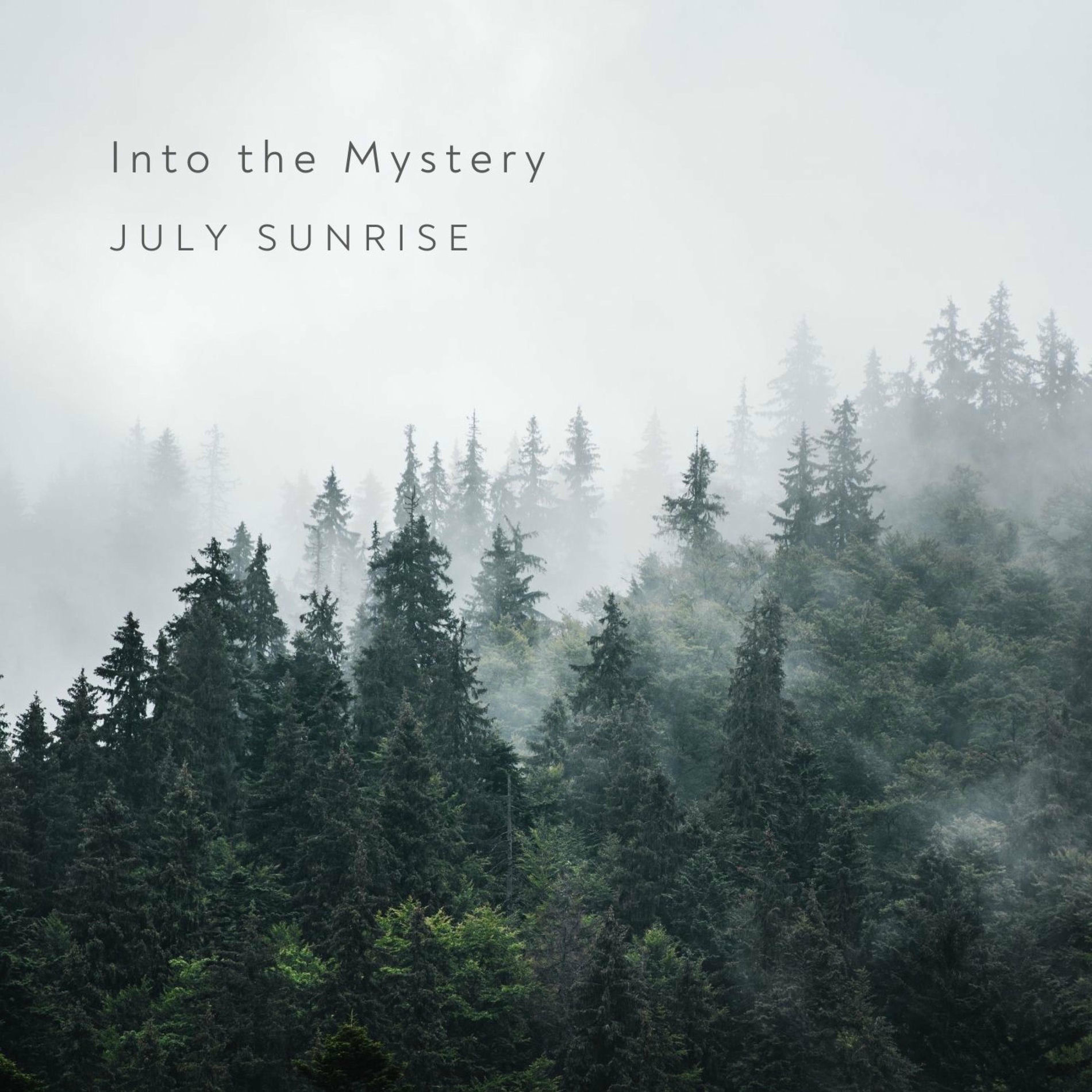 Album cover of Into The Mystery