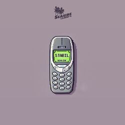 Cover of Stabil