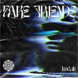 Cover of FAKE FRIENDS