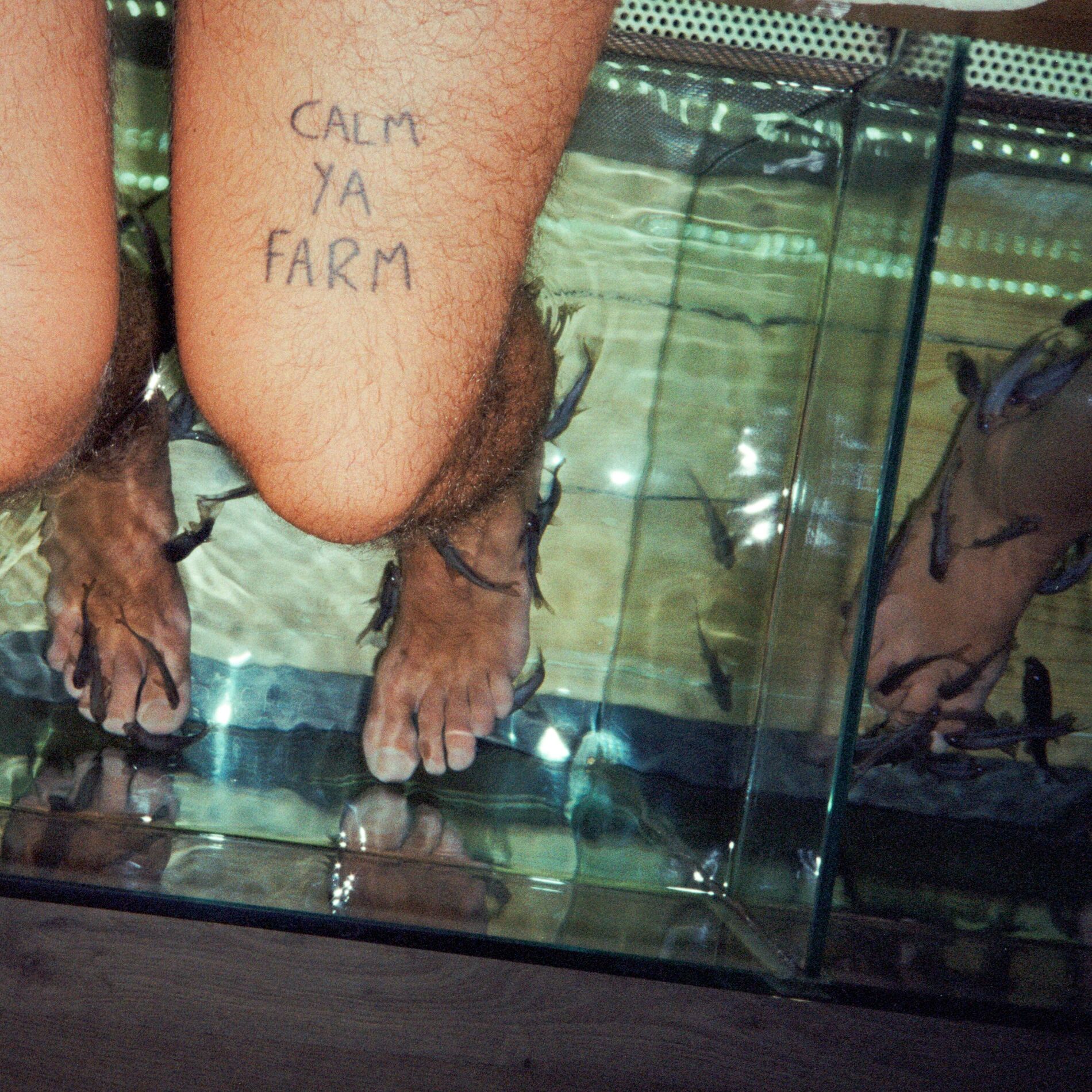 Album cover of Calm Ya Farm
