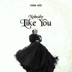 Cover of Nobody Like You
