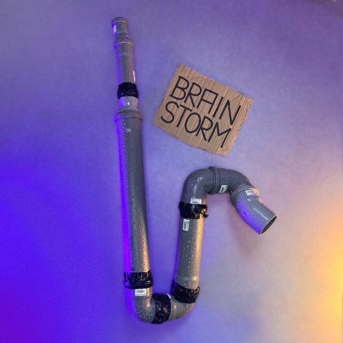 Album cover of Brainstorm