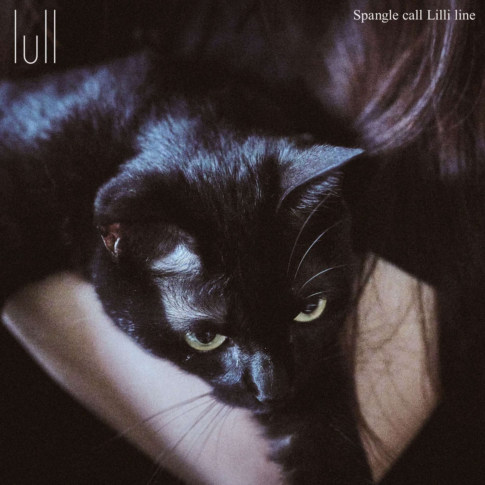 Spangle call Lilli line: albums, songs, concerts | Deezer