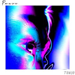 Cover of Pause