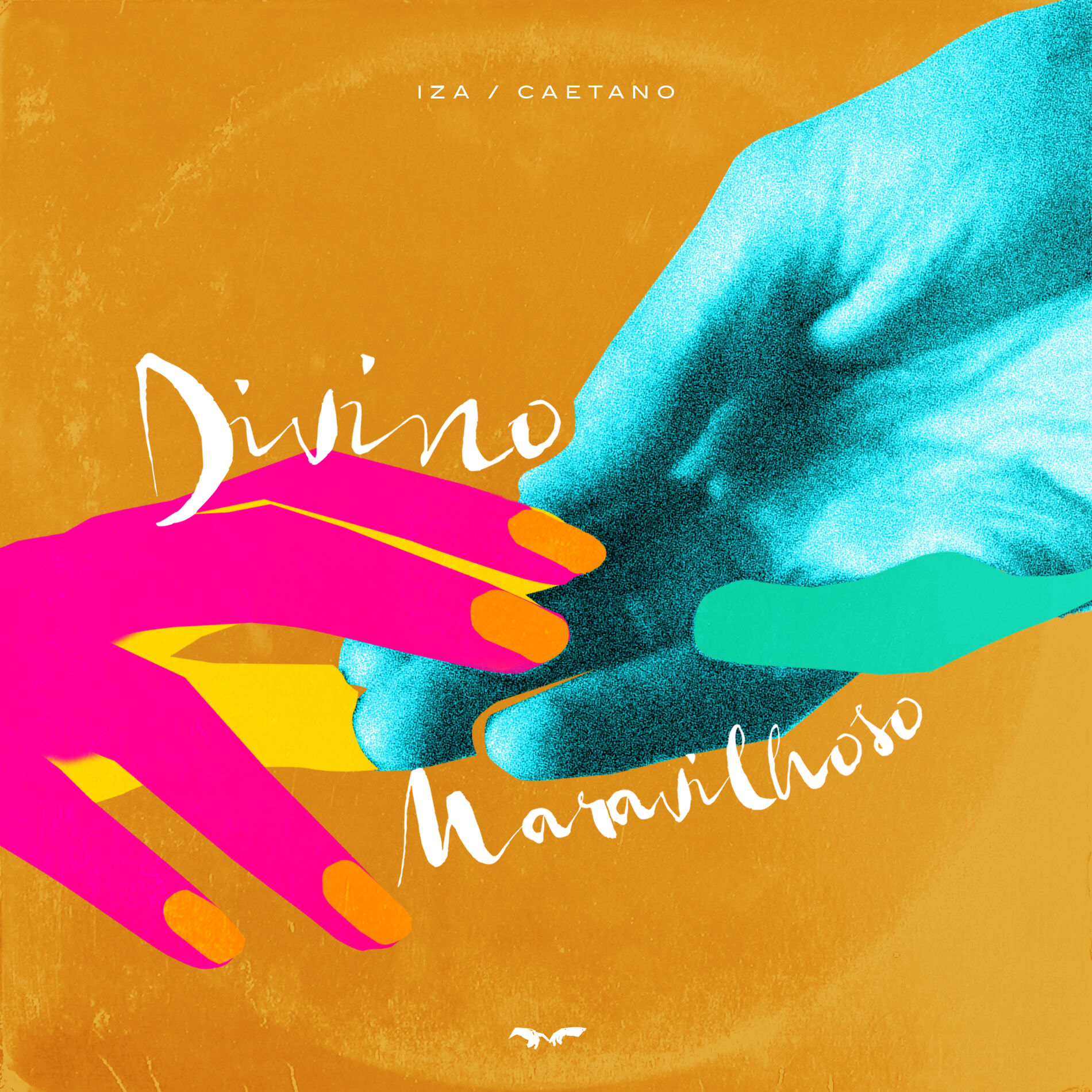 Album cover of Divino maravilhoso (Participação especial de Caetano Veloso)