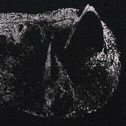 Cover of Viscera