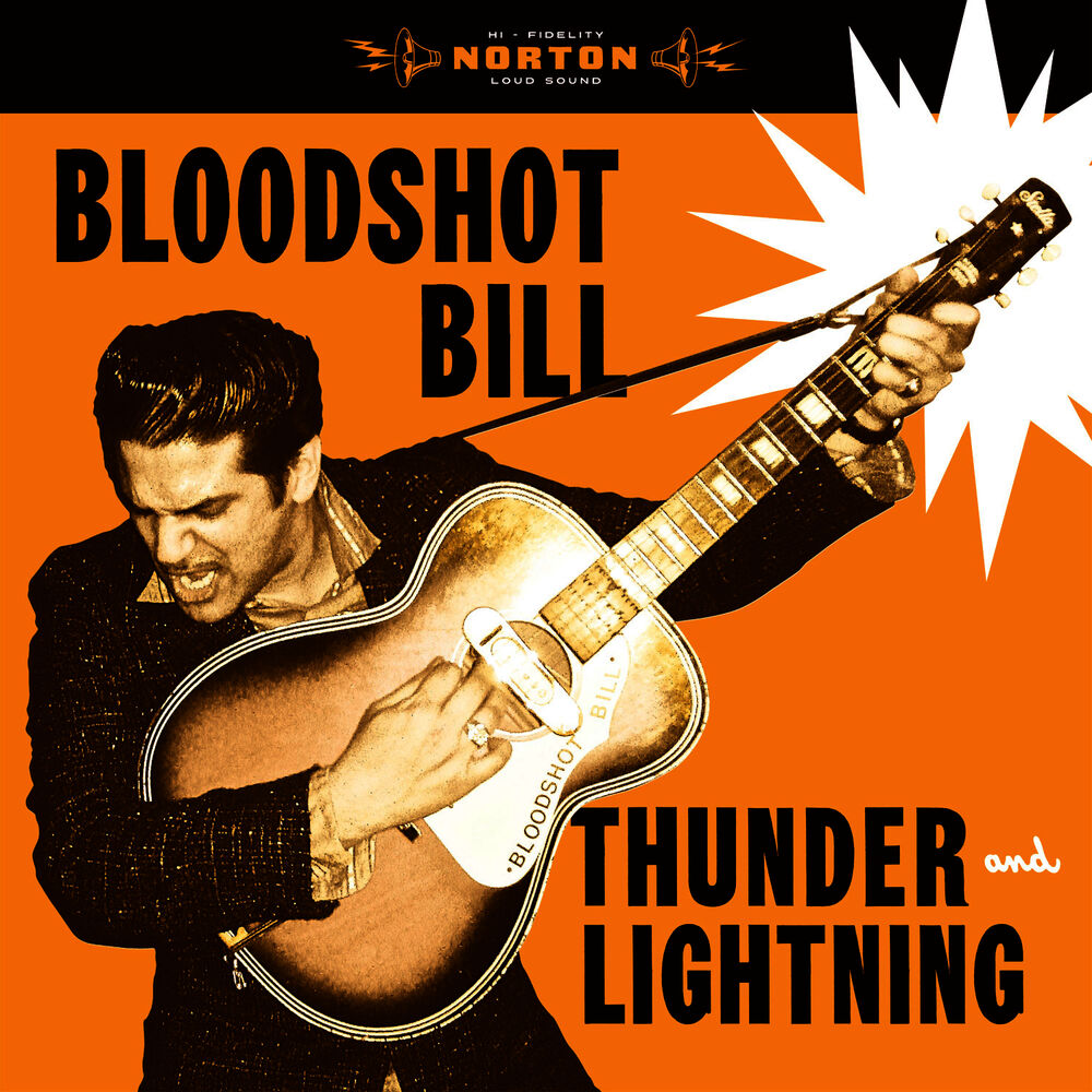 Picture of Thunder and Lightning