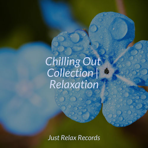 Chilling Out Collection | Relaxation