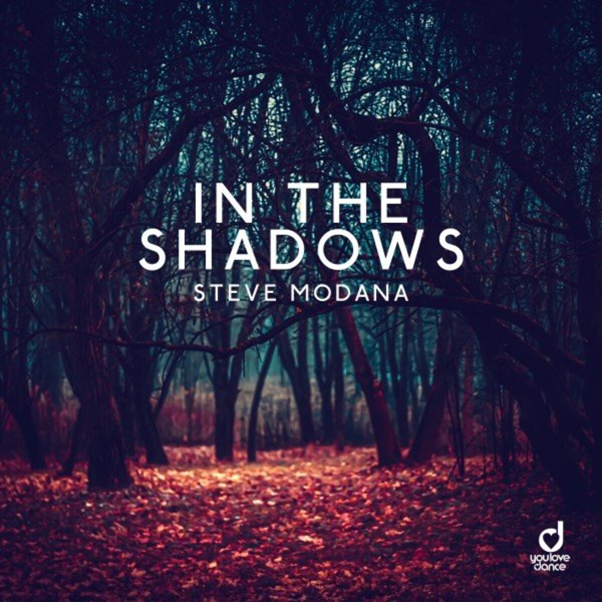 Album cover of In the Shadows