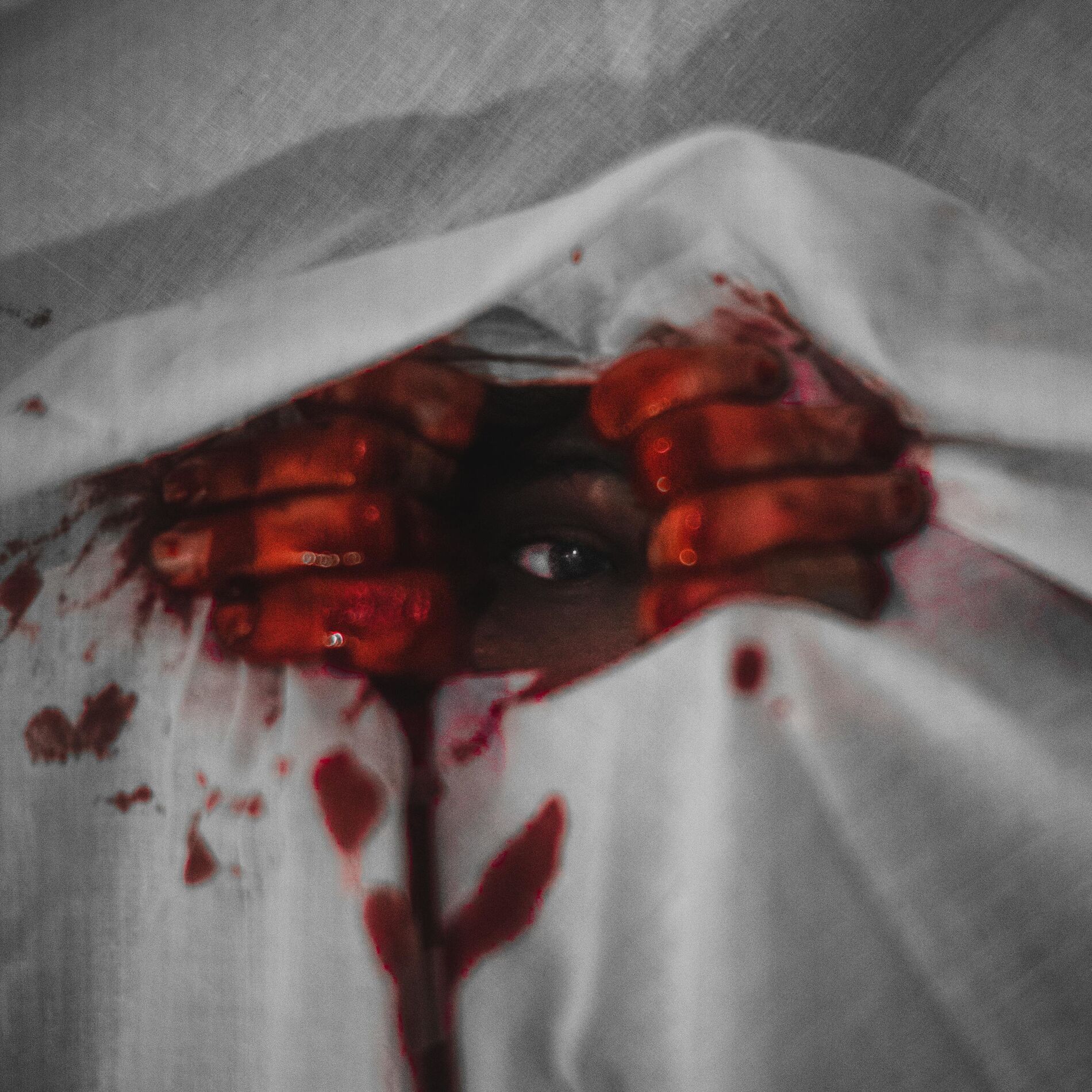 Album cover of Bedsheets