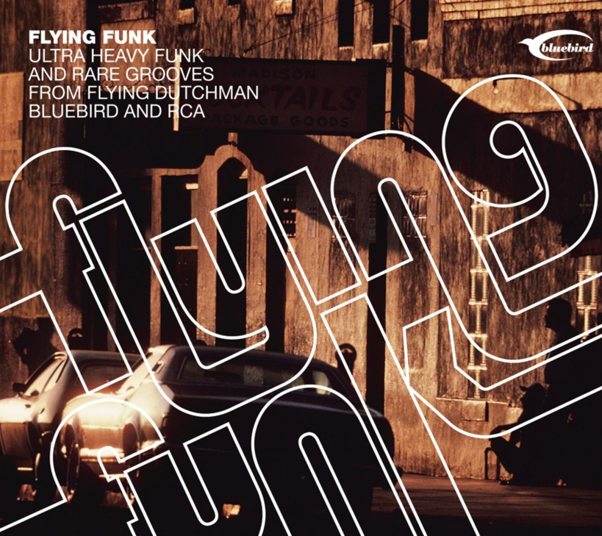 Album cover of Afro Strut