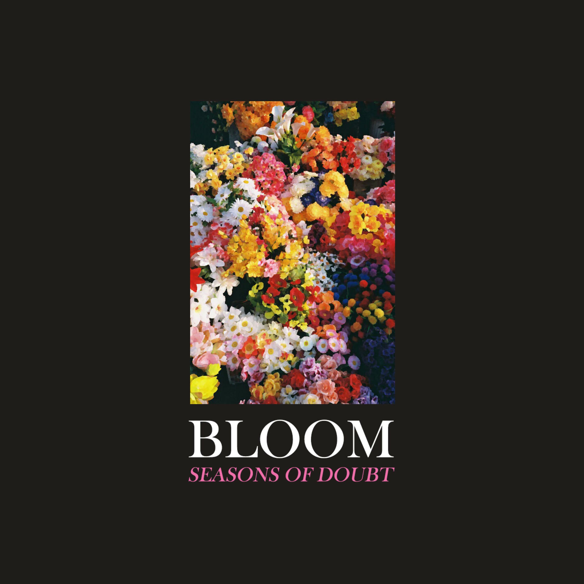 Album cover of Seasons of Doubt