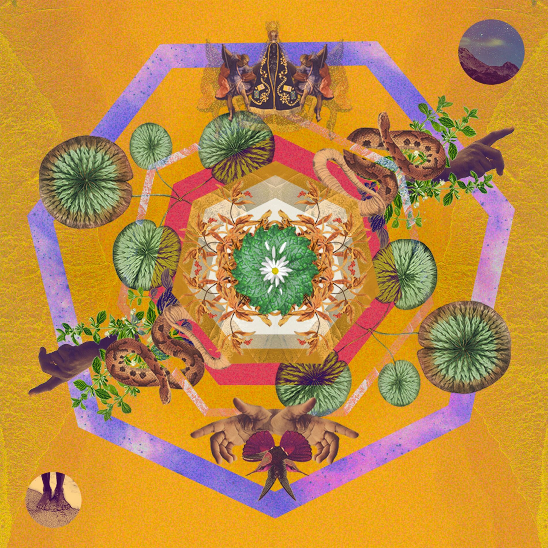 Album cover of Verão (Live)