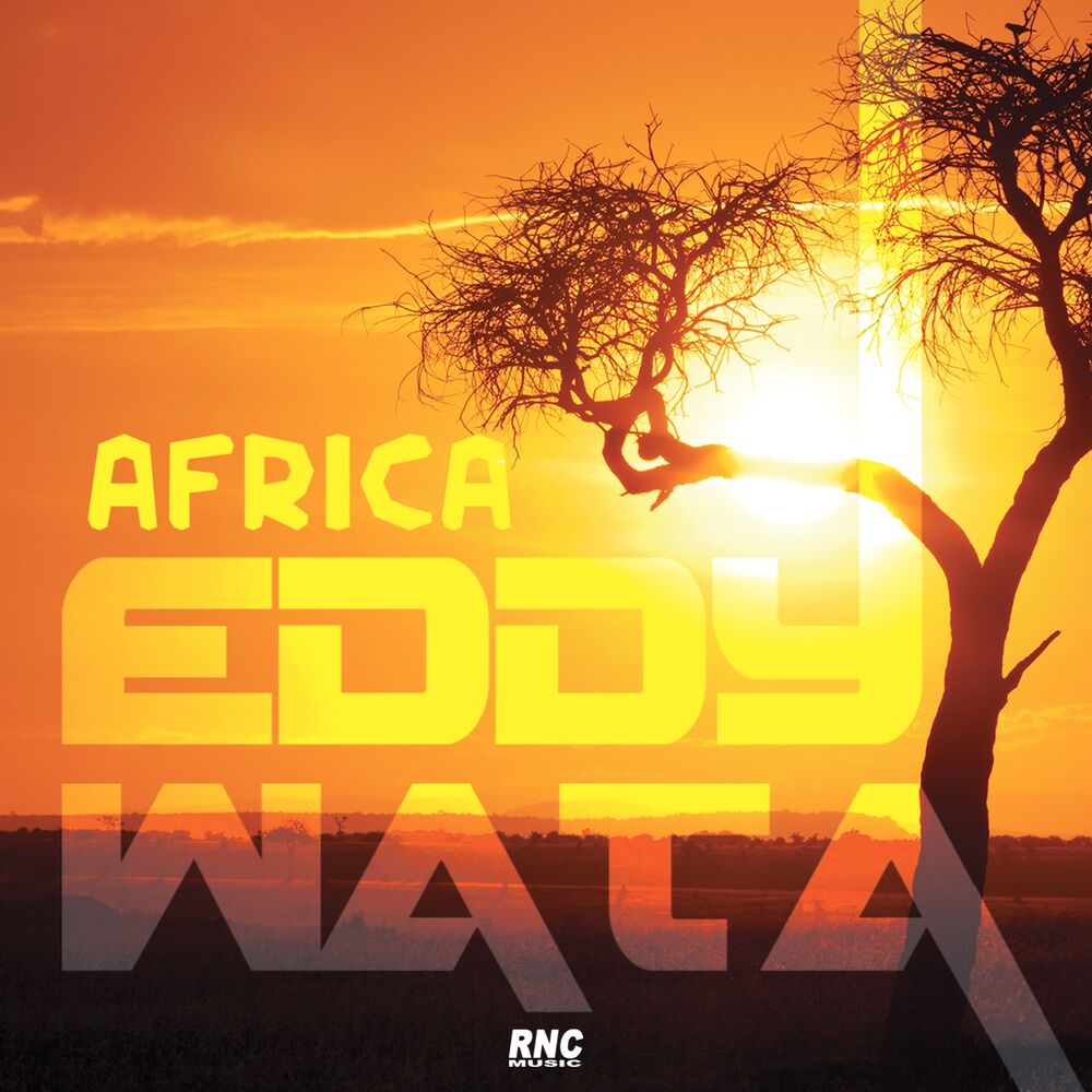 Picture of Africa