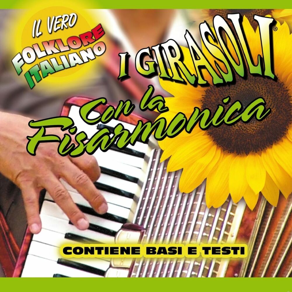 Picture of Con la fisarmonica