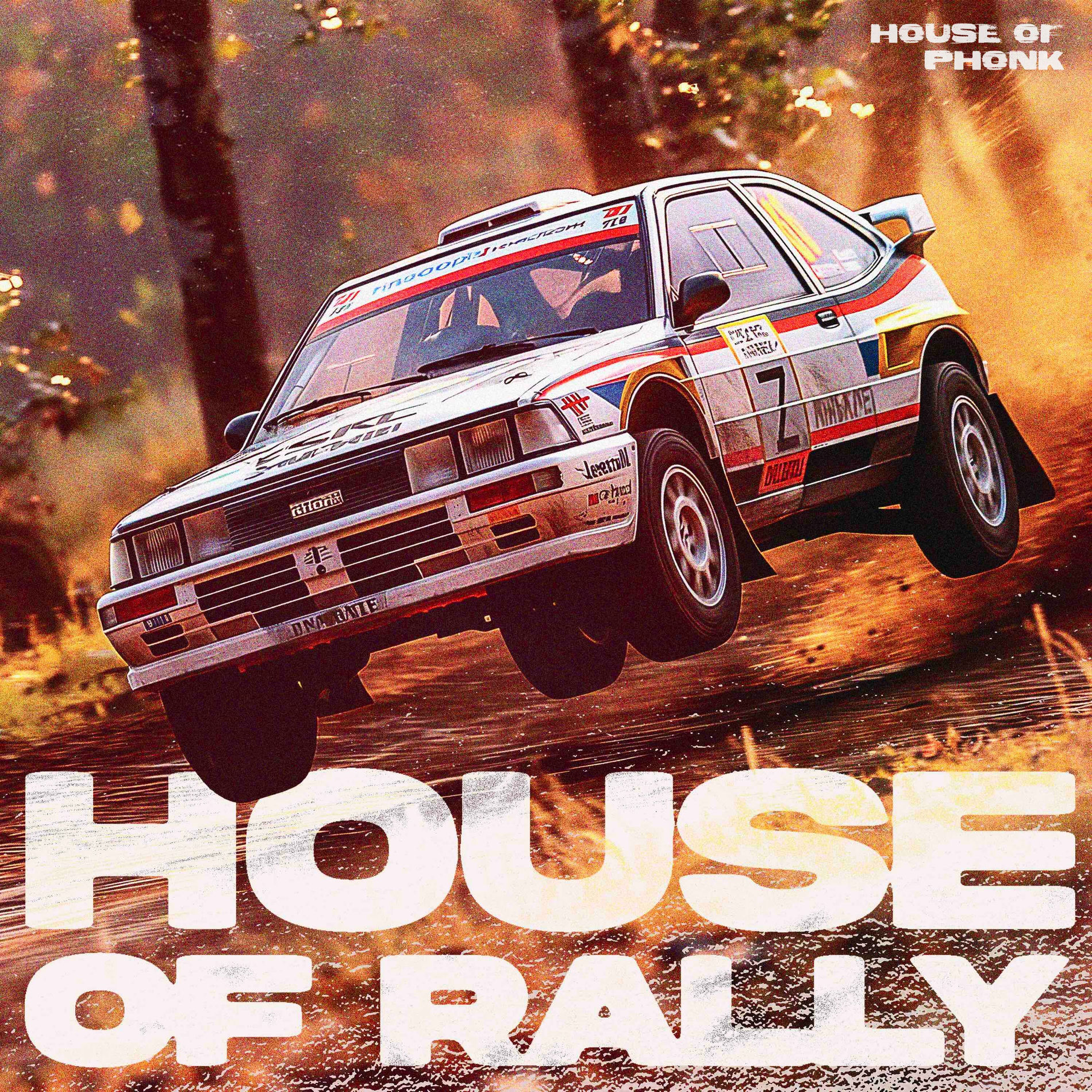 Album cover of BRALLY HOUSE