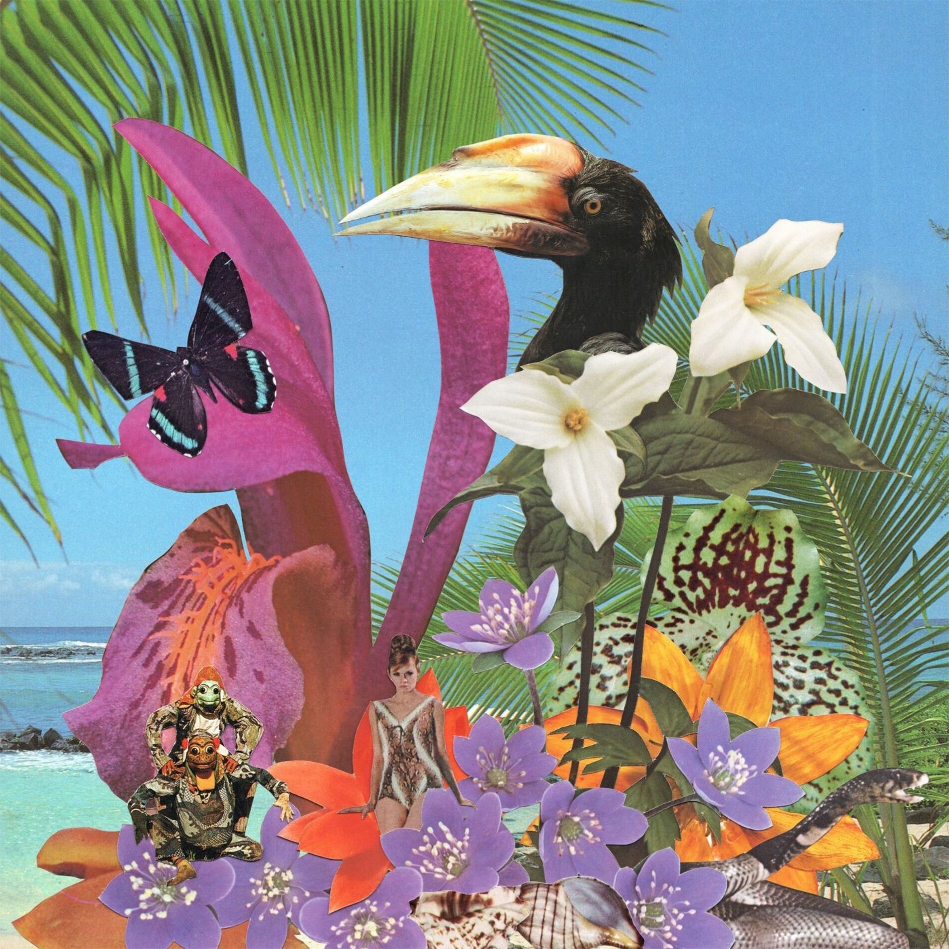 Album cover of Adventures on the Floating Island