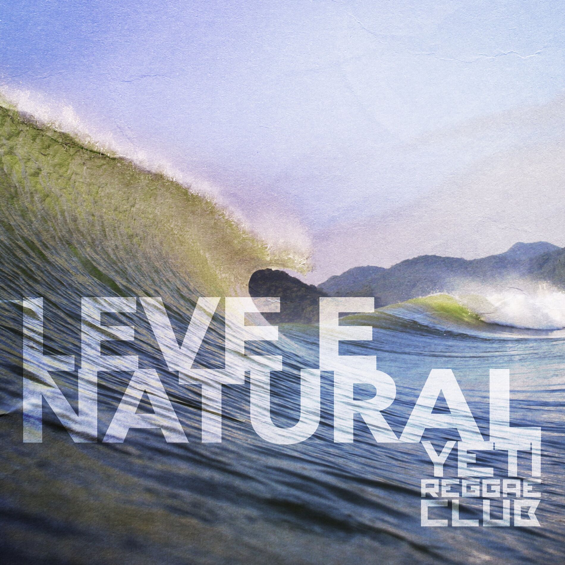 Album cover of Leve e Natural
